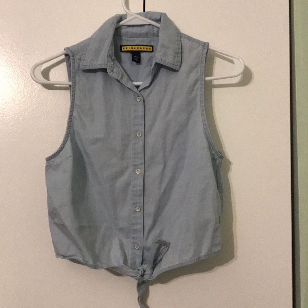 AERO - Prince & Fox Button Down